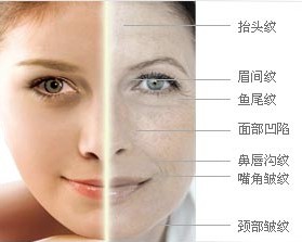 ΢���沿��λ������