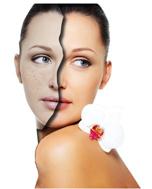 PPP��ϸ����˥