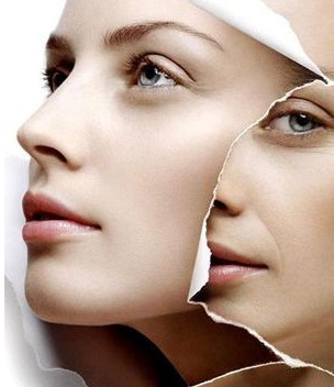 �ഺ������