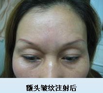 ����������ά������