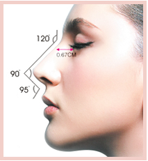 ����˹�ۺ��ܱ�