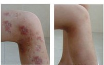 ΢�������Ʒ�