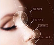 �����ֶ�������