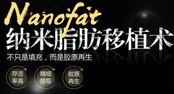 nanofatֲ֬