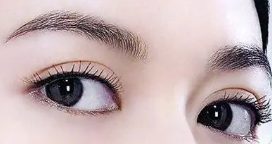 ͨ��ȫ��˫��Ƥ�������� ���쾫����������